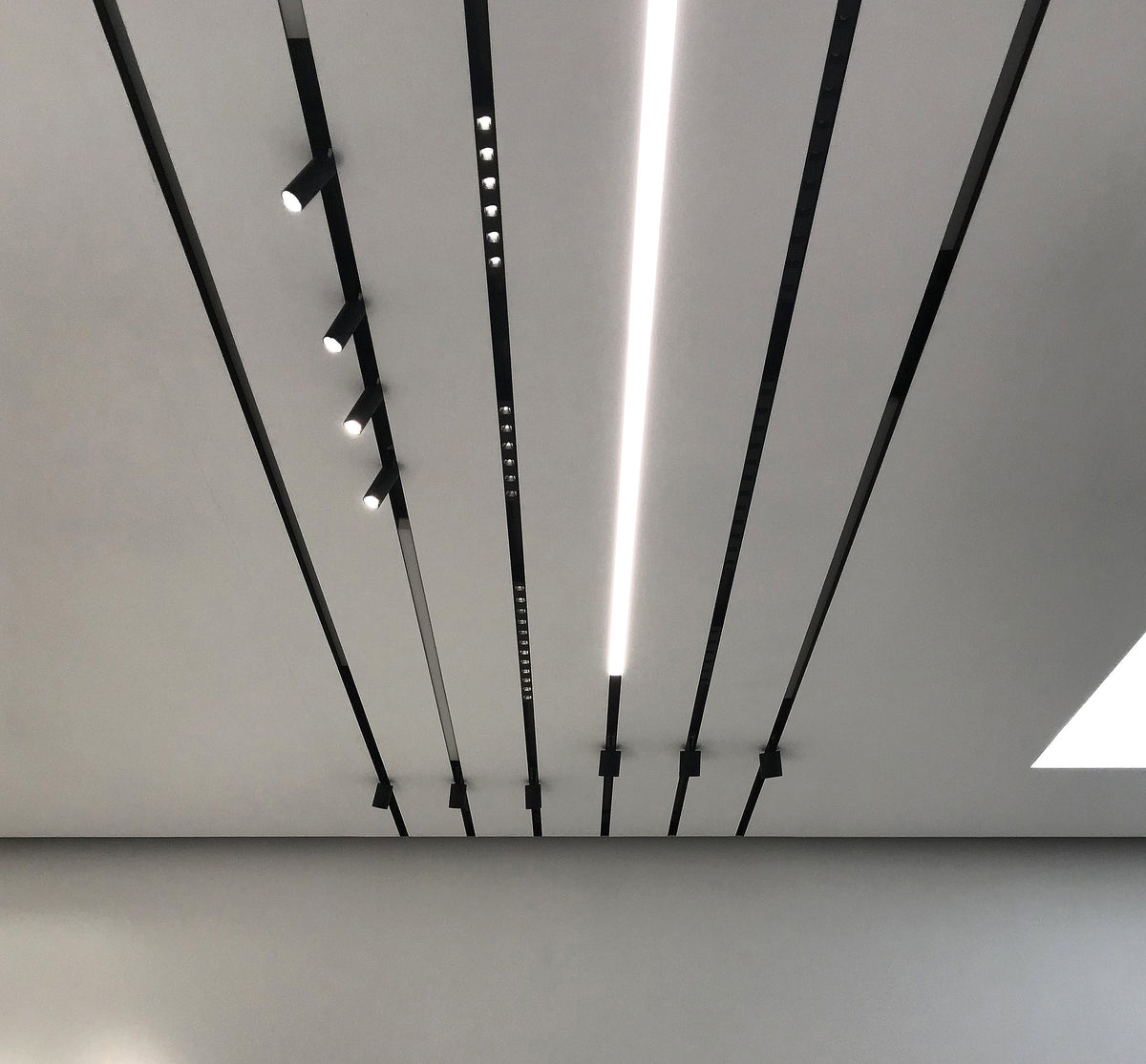 Magnetic Track Light