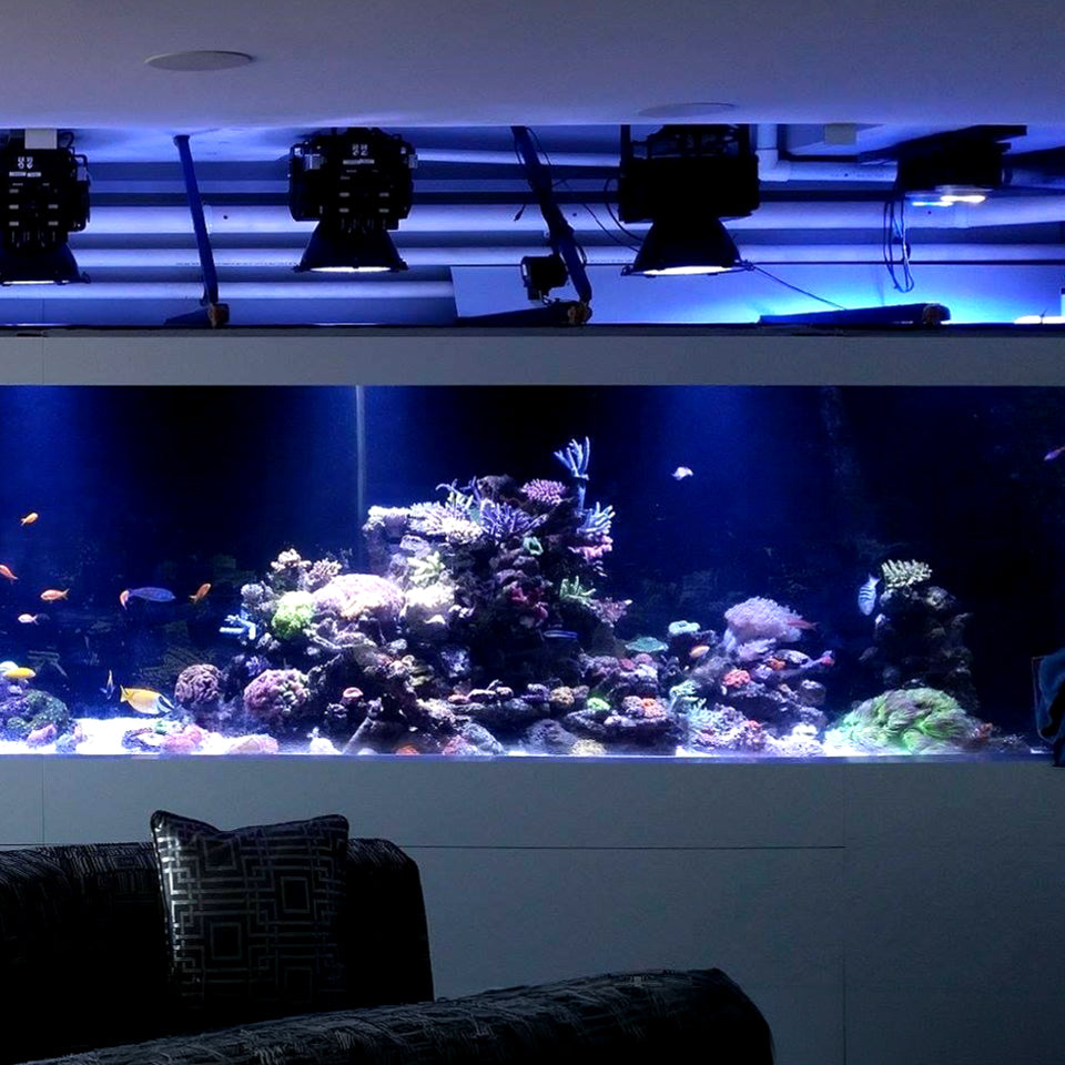PA300, High-Power LED Aquarium Light AC110 ~ 220V (50/60Hz)