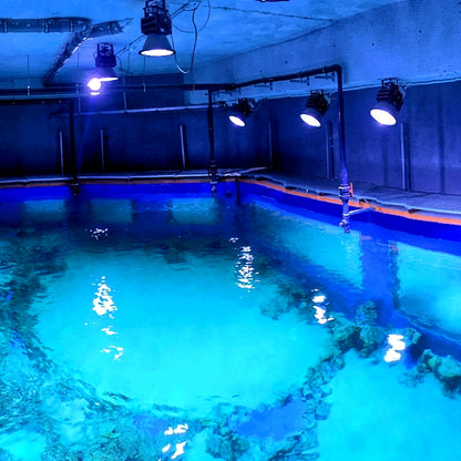 PA300, High-Power LED Aquarium Light AC110 ~ 220V (50/60Hz)