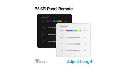 B6 SPI Panel Remote (2.4GHz)