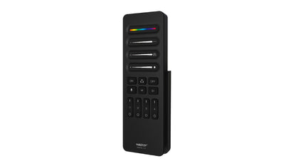 C10, 4-Channel SPI remote (2.4GHz)