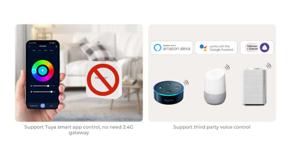 PW2, 2 in 1 LED Controller (WiFi+2.4G) Output Max 20A