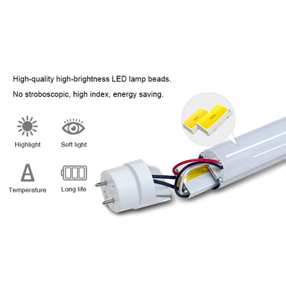 Type B LED T8 Tube, Double Brightness, Single/Double Ended, DLC Certified